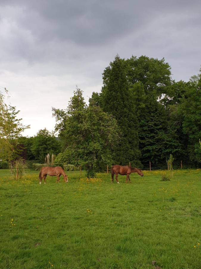 Chambre D'Hote Normande Freneuse-Sur-Risle Eksteriør billede